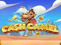 Slots Cash Camel