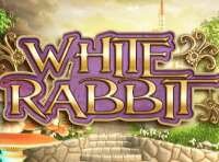 Slots online White Rabbit